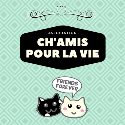 Association Ch'amis pour la vie